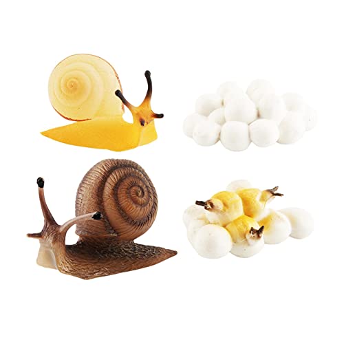 Perfeclan - Spielzeug Tierfiguren Spielzeug,Puzzle-Lehrhilfen-Geschenke,frühes pädagogisches Lernlebenszyklus-Modell-Set für Kleinkinder, Stil A von Perfeclan