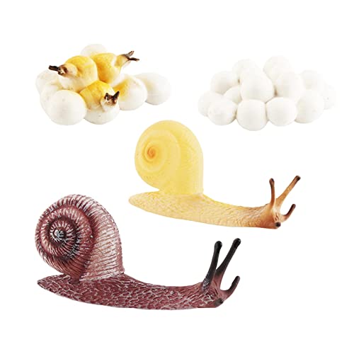 Perfeclan - Spielzeug Tierfiguren Spielzeug,Puzzle-Lehrhilfen-Geschenke,frühes pädagogisches Lernlebenszyklus-Modell-Set für Kleinkinder, Stil B von Perfeclan
