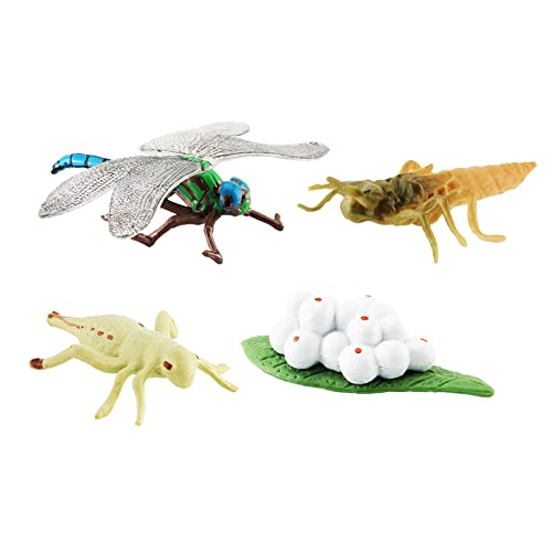 Perfeclan - Spielzeug Tierfiguren Spielzeug,Puzzle-Lehrhilfen-Geschenke,frühes pädagogisches Lernlebenszyklus-Modell-Set für Kleinkinder, Stil C von Perfeclan