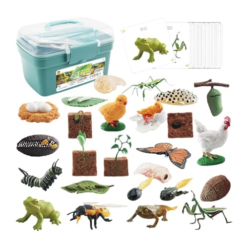 Perfeclan Spielzeug zum Aufstellen von Tortenaufsätzen für Tiere, Lebenszyklus von Tieren, pädagogisches Werkzeug, Wachstumszyklus von Tieren, Figuren für, Blaue Box Perfeclan Spielzeug zum Aufstellen von Tortenaufsätzen für Tiere, Lebenszyklus von Tieren, pädagogisches Werkzeug, Wachstumszyklus von Tieren, Figuren für, Blaue Box von Perfeclan