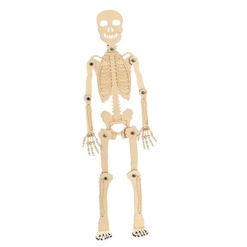 Perfeclan Wissenschaftsspielzeug Menschliches Skelettmodell Stem Lernspielzeug 3D-Puzzle, handgefertigte Materialpaket-Kits für Kinder Lernwerkzeug von Perfeclan