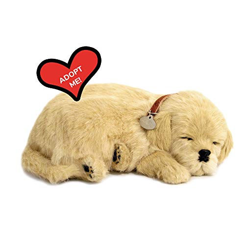 Perfect Petzzz - 4908 - Plüsch - Hund Golden Retriever von Perfect Petzzz