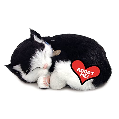 Perfect Petzzz – 4932 – Plüschtier – schwarz-weiße Kurzhaar-Katze. von Perfect Petzzz