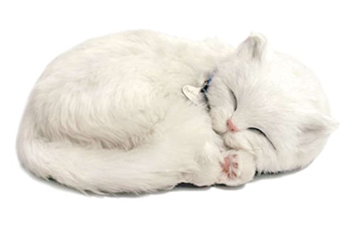 Perfect Petzzz 4934 Katze, Plüsch, Weiß Perfect Petzzz 4934 Katze, Plüsch, Weiß von Perfect Petzzz
