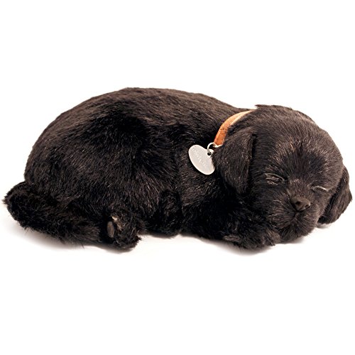 Plenty Gifts - Perfect Petzzz | Schwarzer Labrador Realistisches Welpen Plüschtier | mit Transportbox und Bettchen | inklusive Batterien von Perfect Petzzz