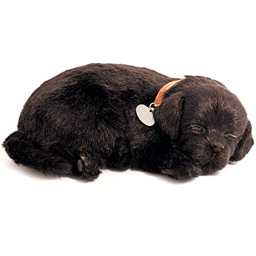 Perfect Petzzz Black Lab von Perfect Petzzz