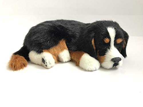 Perfect Petzzz Hundewelpe Berner Sennenhund , der richtig atmet The Breathing Puppy von Perfect Petzzz