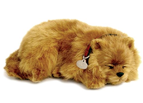 Perfect Petzzz Hundewelpe Pomeranian, der richtig atmet The Breathing Puppy von Perfect Petzzz