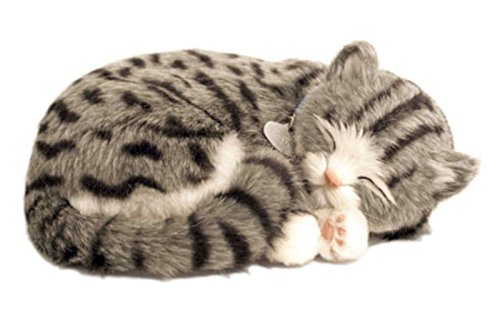 Perfect Petzzz Katze, Plüsch, Gray Tabby The Breathing Puppy Perfect Petzzz Katze, Plüsch, Gray Tabby The Breathing Puppy von Perfect Petzzz