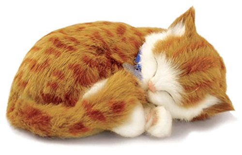 Perfect Petzzz Katze, Plüsch, Orange Tabby The Breathing Puppy Perfect Petzzz Katze, Plüsch, Orange Tabby The Breathing Puppy von Perfect Petzzz