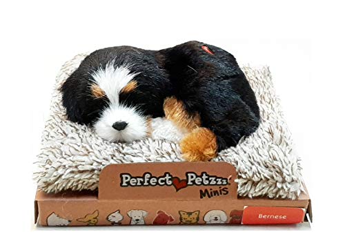 Perfect Petzzz Minis Bernese mit Verso 13 cm Perfect Petzzz Minis Bernese mit Verso 13 cm von Perfect Petzzz