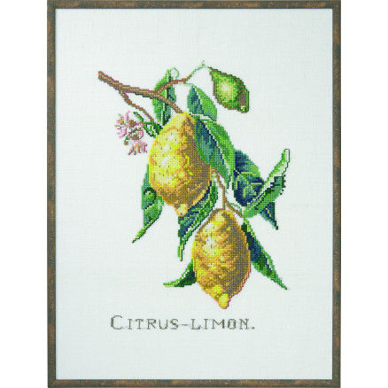 Permin Stickereiset Citrus-Zitrone 29x39cm von Permin