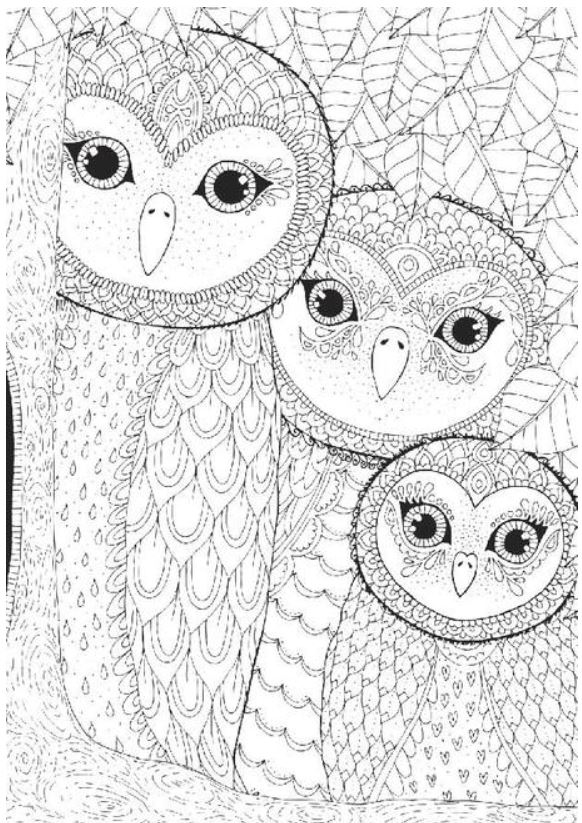 Perre / Anatolian Owls Family 260 Teile Puzzle Perre-Anatolian-3316 von Perre / Anatolian