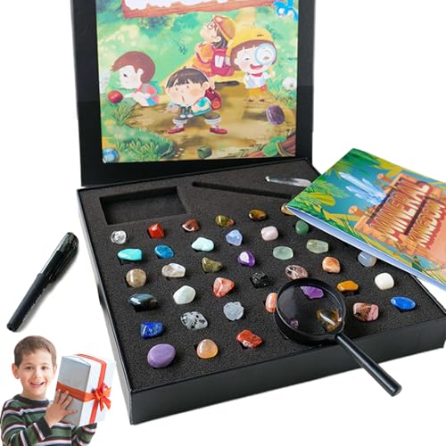 Pesoncarl 43pcs Rocksammlungen für Kinder, 43 Verschiedene Edelsteine für Kinder, Rockkollektion mit Box, Mineral Education Set Science Gift für Jungen Mädchen, Spielzeug Pesoncarl 43pcs Rocksammlungen für Kinder, 43 Verschiedene Edelsteine für Kinder, Rockkollektion mit Box, Mineral Education Set Science Gift für Jungen Mädchen, Spielzeug von Pesoncarl