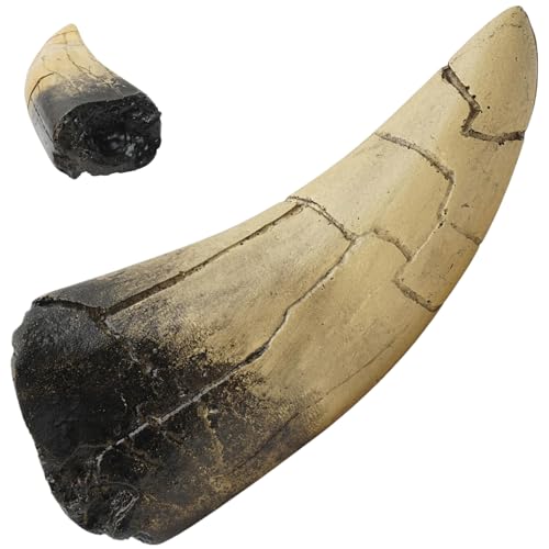 Pesoncarl Hai-Zähne Realistisches Harz umweltfreundlich Retro Hai Zähne 4, 5x2x1.2 Zahnmassenzahn zur Ausstellung Sammeln Schmuckherstellung, Spielzeug, Spielzeug Pesoncarl Hai-Zähne Realistisches Harz umweltfreundlich Retro Hai Zähne 4, 5x2x1.2 Zahnmassenzahn zur Ausstellung Sammeln Schmuckherstellung, Spielzeug, Spielzeug von Pesoncarl