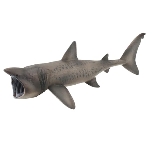 Pesoncarl Haispielzeug, realistische Hai Figuren, 8, 1x3, 9 x 3, 4 Zoll Plastikmodellfigur, lustiges Bildungsspielzeug für Junge, Mädchen und Kinder Pesoncarl Haispielzeug, realistische Hai Figuren, 8, 1x3, 9 x 3, 4 Zoll Plastikmodellfigur, lustiges Bildungsspielzeug für Junge, Mädchen und Kinder von Pesoncarl