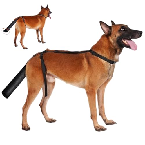 Pesoncarl Hundeschwanzschutz Anti-Lick-Schutzhund-Schwanzabdeckung für Wunden mit offenem Ende Oxford-Stoff-Wundabdeckung, schwarz, l von Pesoncarl
