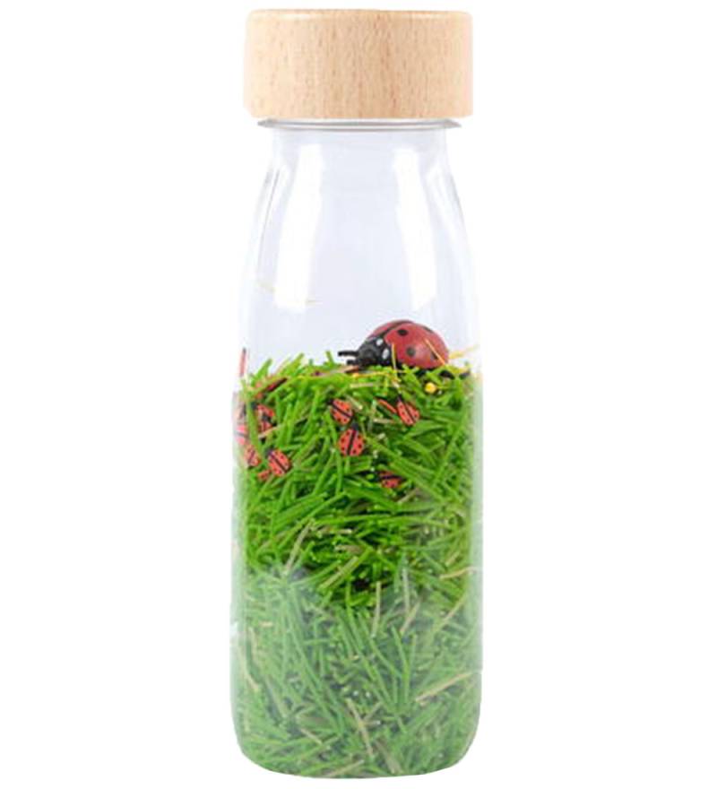 Petit Boum Sensorisches Spielzeug - Sound - Marienkäfer - Petit Boum - One Size - Spielzeug Petit Boum Sensorisches Spielzeug - Sound - Marienkäfer - Petit Boum - One Size - Spielzeug von Petit Boum