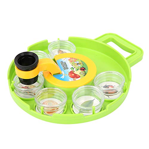 Phefop Plastic Outdoor Science Insects Beobachtung Lupe Box Container -Betrachter, Kinderfänger mit Leuchtlinien, Großartig oder Erkundung der Natur, 18,5 X 22,5 cm Phefop Plastic Outdoor Science Insects Beobachtung Lupe Box Container -Betrachter, Kinderfänger mit Leuchtlinien, Großartig oder Erkundung der Natur, 18,5 X 22,5 cm von Phefop