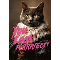 You Look Purrrfect ! von Piatnik Deutschland GmbH