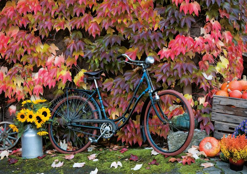 Piatnik Herbst 1000 Teile Puzzle Piatnik-5582 von Piatnik