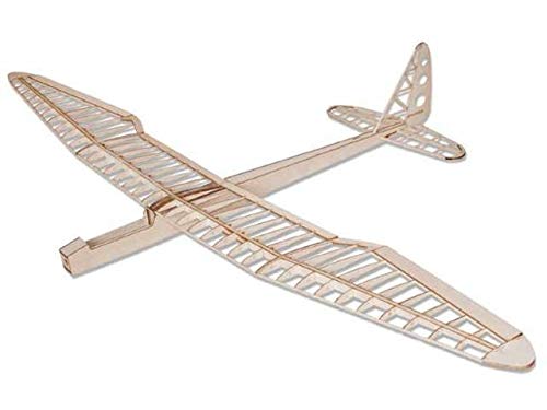 Pichler Sunny Bird / 1600mm Pichler Sunny Bird / 1600mm von Pichler