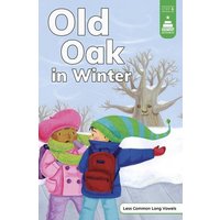 Old Oak in Winter von Capstone