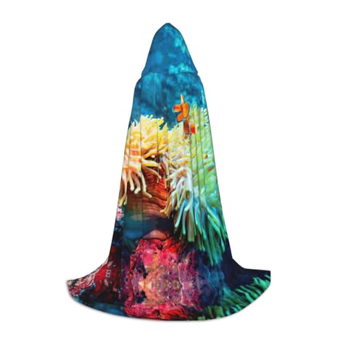 Pidgazdfgv Clownfisch Kapuzenumhang Halloween Kind Verkleidung Kind Verkleiden Zubehör Kostüm Party Cosplay Pidgazdfgv Clownfisch Kapuzenumhang Halloween Kind Verkleidung Kind Verkleiden Zubehör Kostüm Party Cosplay von Pidgazdfgv
