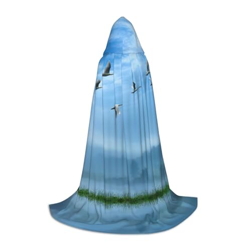 Pidgazdfgv Kapuzenumhang mit Vögeln, die über den Himmel fliegen, Halloween, Kinderkostüm, Kostüm, Party, Cosplay Pidgazdfgv Kapuzenumhang mit Vögeln, die über den Himmel fliegen, Halloween, Kinderkostüm, Kostüm, Party, Cosplay von Pidgazdfgv
