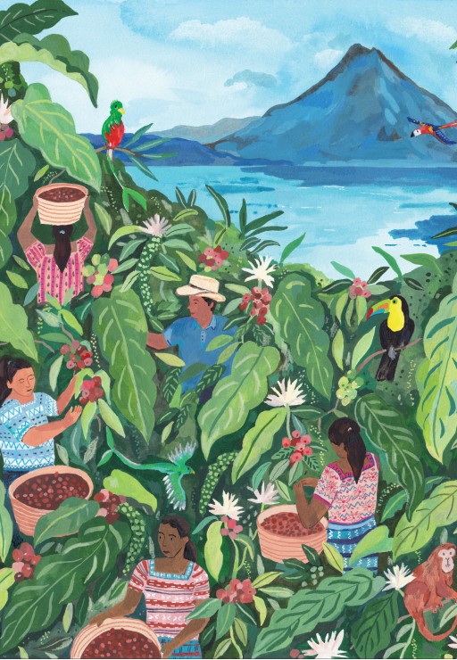 Pieces & Peace Guatemala 1000 Teile Puzzle Pieces-Peace-F-00197 Pieces & Peace Guatemala 1000 Teile Puzzle Pieces-Peace-F-00197 von Pieces & Peace