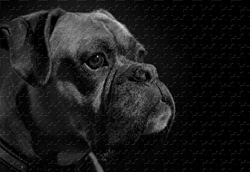 Boxer 500-teiliges Puzzle, Holzmaterial, 50 x 39 cm Boxer 500-teiliges Puzzle, Holzmaterial, 50 x 39 cm von PigBangbang