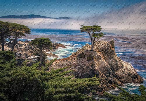 Monterey Bay Holzpuzzle, 500 Teile, 50 x 39 cm, gutes Geschenk für Freunde von PigBangbang