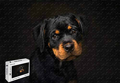 PigBangbang, 500-teiliges Puzzle, Premium-Lindenholz, großer Rottweiler, 500 Teile PigBangbang, 500-teiliges Puzzle, Premium-Lindenholz, großer Rottweiler, 500 Teile von PigBangbang
