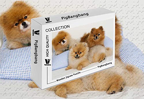 PigBangbang, Photomosaik Lindenholz in einer Box – Tierpommern – 500-teiliges Puzzle (50 x 39 cm) von PigBangbang