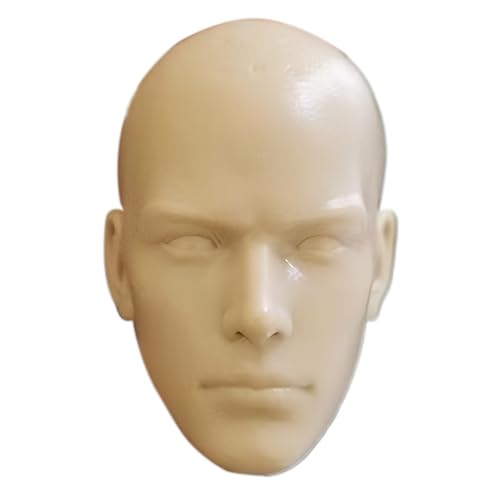 Pineeseatile 1/6 Maßstab Action -Abbildung, 1/6 Skala -Kopf -Kunststoff -Kopfskulptur Europäischer Schönheitssoldat -Schnitzmodell Miniatur -Aktionsfiguren für Färben, Malen, Zeichnen und Skizzieren von Pineeseatile