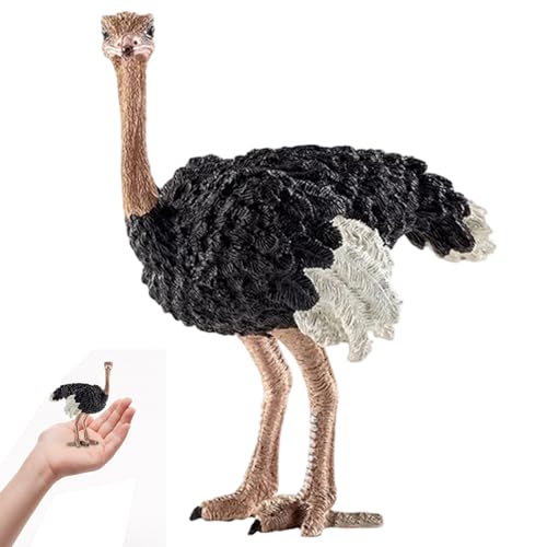 Pineeseatile 3D -gedruckte Tiere, Tierspielzeug, realistische Strauß -Tierfiguren, detaillierte Bildungsspielzeuge für Jungen, Mädchen, Mädchen Pineeseatile 3D -gedruckte Tiere, Tierspielzeug, realistische Strauß -Tierfiguren, detaillierte Bildungsspielzeuge für Jungen, Mädchen, Mädchen von Pineeseatile