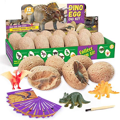 Pinkgarden Dinosaurier-Ausgrabungsset für Kinder mit 12 einzigartigen Dinosauriern, Dinosaurier Spielzeug für Partei Archäologie Paläontologie Wissenschaft Bildungsgeschenk von Pinkgarden