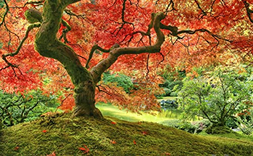 Pintoo - H2296 - Japanischer Garten in Portland - 1000 Teile Kunststoffpuzzle von Pintoo