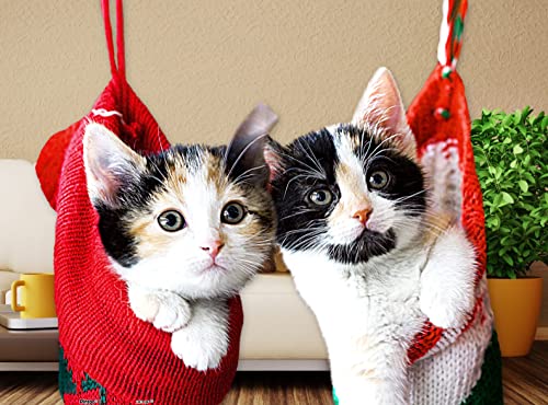 Puzzle aus Kunststoff – Christmas Kittens von Pintoo