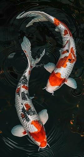 Fun Jigsaw Puzzle 500 Teile für Erwachsene Koi Fisch Holzpuzzle Familie Spaß und Casual Anfänger Lernspiel Puzzle Geschenke 52.1 cmx 38.1 cm Fun Jigsaw Puzzle 500 Teile für Erwachsene Koi Fisch Holzpuzzle Familie Spaß und Casual Anfänger Lernspiel Puzzle Geschenke 52.1 cmx 38.1 cm von Pioasing