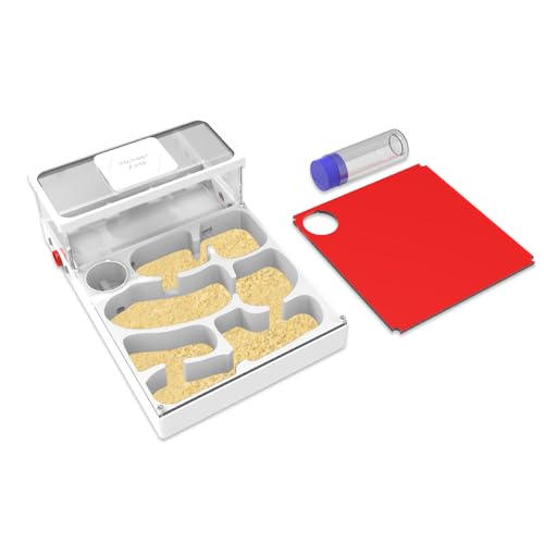 Ameisenfarm mit gelbem Sand und Werkzeugset Ameisenfarm mit gelbem Sand und Werkzeugset von PioneerAnts