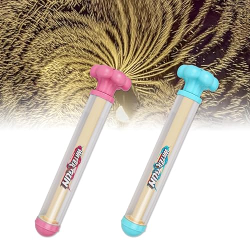 2 Stück Feuerwerk Wasserpistole Spielzeug, Wasserpistole Kinder, Romantische Feuerwerks Wasserpistole für Kinder Erwachsene, Wasserspritzpistole für Outdoor Pool Beach Garten von Pipihome