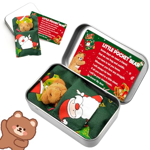 Kleine Taschenbär-Umarmung | Mini-Bär in einer Blechdose | Taschenbär-Plüschspielzeug | Kuscheltier-Bärenpuppe, Taschenumarmungen für Kinder, Weihnachtsge-Abschlussgeschenke (Weihnachts Braun) von Pipihome