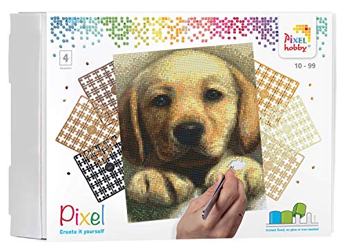 Pixel P090045 Mosaik Geschenkverpackung Hund, Pixelbild ca. 20,3 x 25,4 cm groß, kinderleichtes Stecksystem, ohne Bügeln und Kleben, Steinchen aus Biokunststoff, ideal für Kinder von Pracht Creatives Hobby