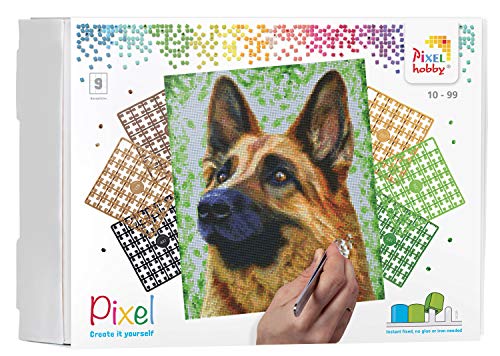 Pixel P090049 Mosaik Geschenkverpackung Hund, Pixelbild ca. 30,5 x 38,1 cm groß, kinderleichtes Stecksystem, ohne Bügeln und Kleben, Steinchen aus Biokunststoff, ideal für Kinder von Pracht Creatives Hobby