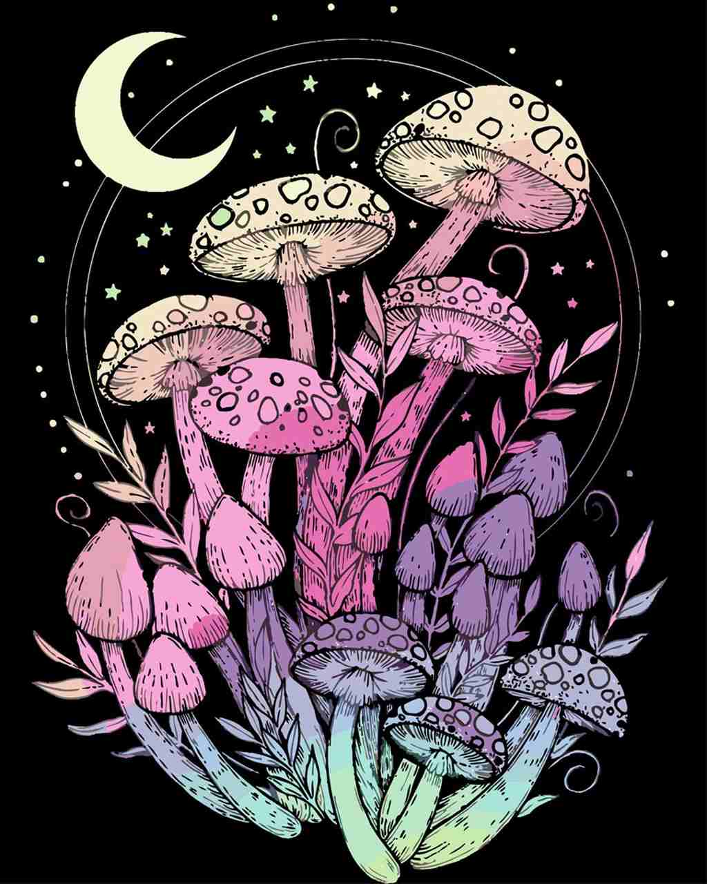 Malen nach Zahlen - Pilze bei Nacht - by Pixie Cold, ohne Rahmen Malen nach Zahlen - Pilze bei Nacht - by Pixie Cold, ohne Rahmen von Pixie Cold