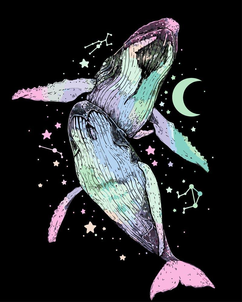 Malen nach Zahlen - Sternbild Wale - by Pixie Cold, mit Rahmen von Pixie Cold