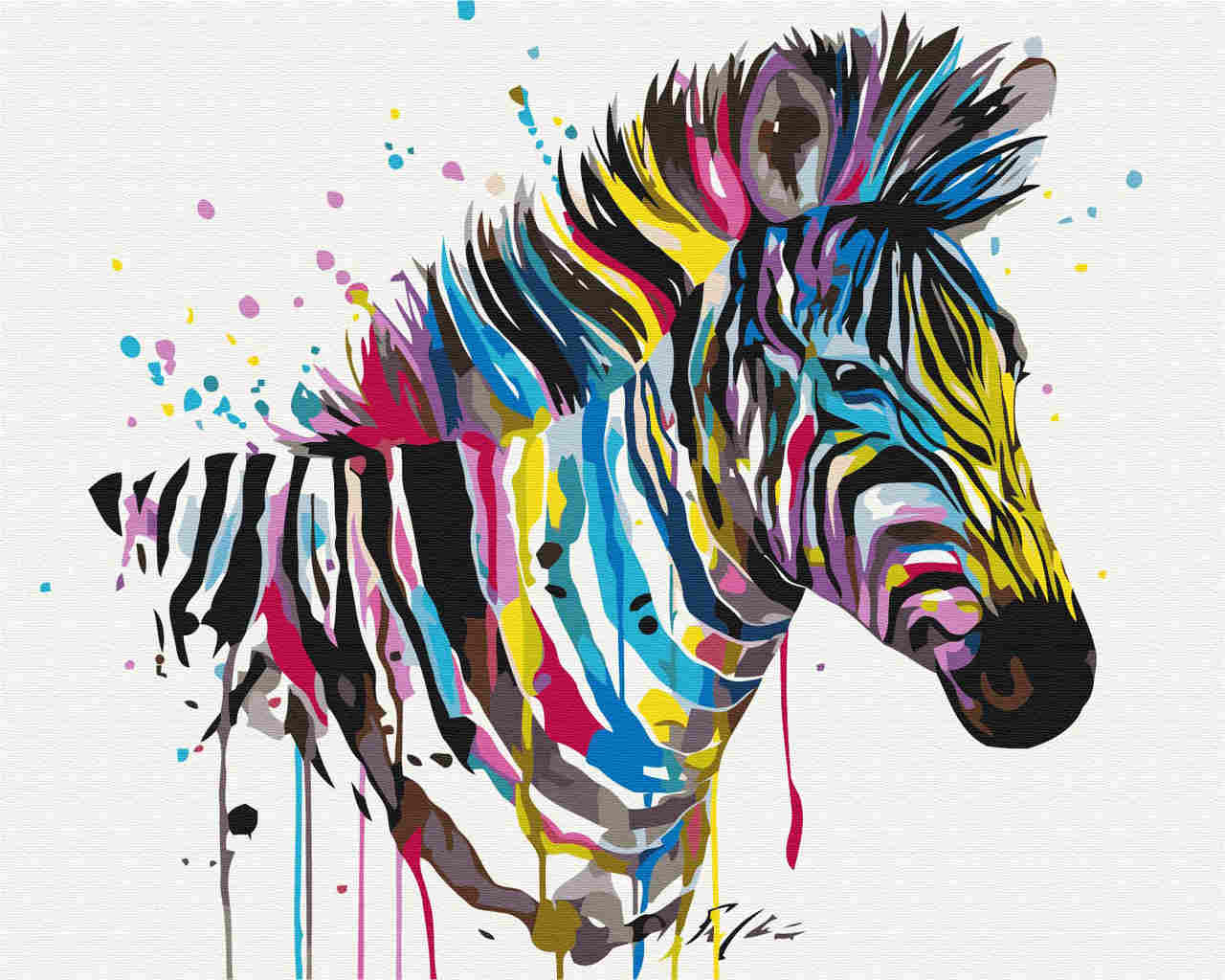 Malen nach Zahlen - Zebra Bunt - by Pixie Cold, mit Rahmen von Pixie Cold