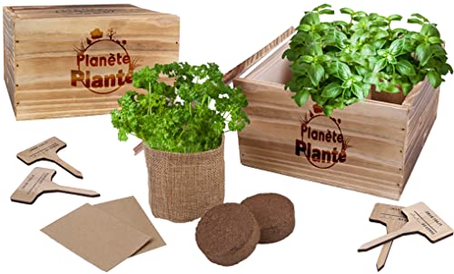 Planète Plante 170608 Planet Wooden Planter with 4 Jute Bags-4 Varieties of Plants-Gardening Kit-18 cm-for Ages 4 and Up, Multicolored von PLANETE PLANTE