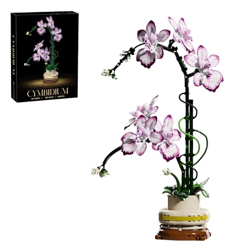 Orchidee Bonsai Bausteine Modell, 696 Teile Künstliche Blume Pflanze Bonsai Bausteine Bausatz, Botanischer Spielzeug Modell, Büro Haus Dekoration Blume, Geschenke für Erwachsene und Mädchen Orchidee Bonsai Bausteine Modell, 696 Teile Künstliche Blume Pflanze Bonsai Bausteine Bausatz, Botanischer Spielzeug Modell, Büro Haus Dekoration Blume, Geschenke für Erwachsene und Mädchen von PlayExquizen